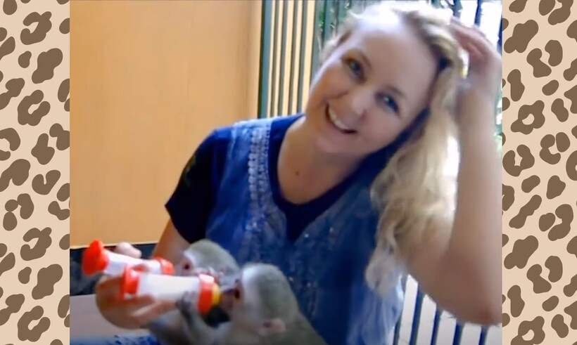 Блог - Видео: Муж и жена тратят по 20 часов в сутки, спасая тысячи вельветовых мартышек Видео: Муж и жена тратят по 20 часов в сутки, спасая тысячи вельветовых мартышек