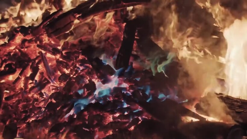 Блог - Видео: Мужчина спас волчонка из пожара, спустя год хищник вернул долг человеку Видео: Мужчина спас волчонка из пожара, спустя год хищник вернул долг человеку