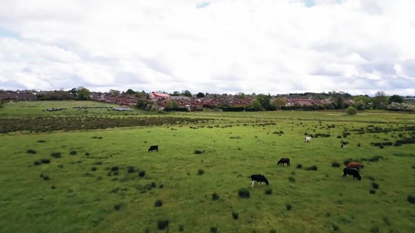 Блог - Видео: Мужчина спас волчонка из пожара, спустя год хищник вернул долг человеку Видео: Мужчина спас волчонка из пожара, спустя год хищник вернул долг человеку