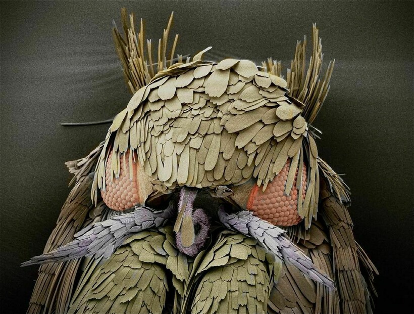 Блог - 17 микрофотографий, которые покажут с новой стороны мир, что кроется у нас под носом 17 микрофотографий, которые покажут с новой стороны мир, что кроется у нас под носом