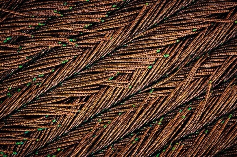 Блог - 17 микрофотографий, которые покажут с новой стороны мир, что кроется у нас под носом 17 микрофотографий, которые покажут с новой стороны мир, что кроется у нас под носом