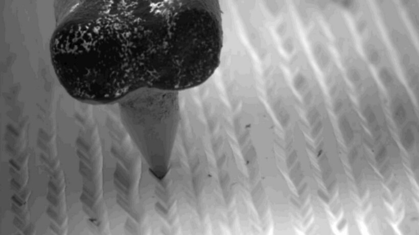 Блог - 17 микрофотографий, которые покажут с новой стороны мир, что кроется у нас под носом 17 микрофотографий, которые покажут с новой стороны мир, что кроется у нас под носом