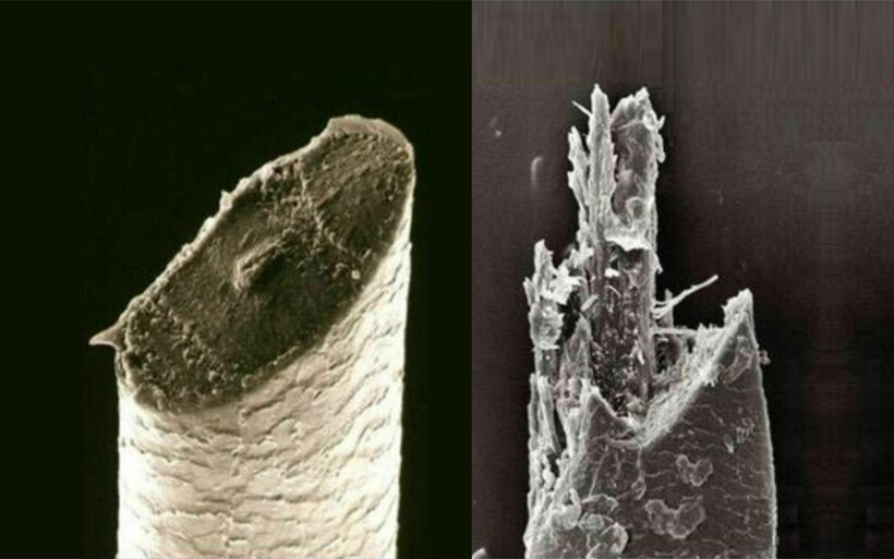 Блог - 17 микрофотографий, которые покажут с новой стороны мир, что кроется у нас под носом 17 микрофотографий, которые покажут с новой стороны мир, что кроется у нас под носом