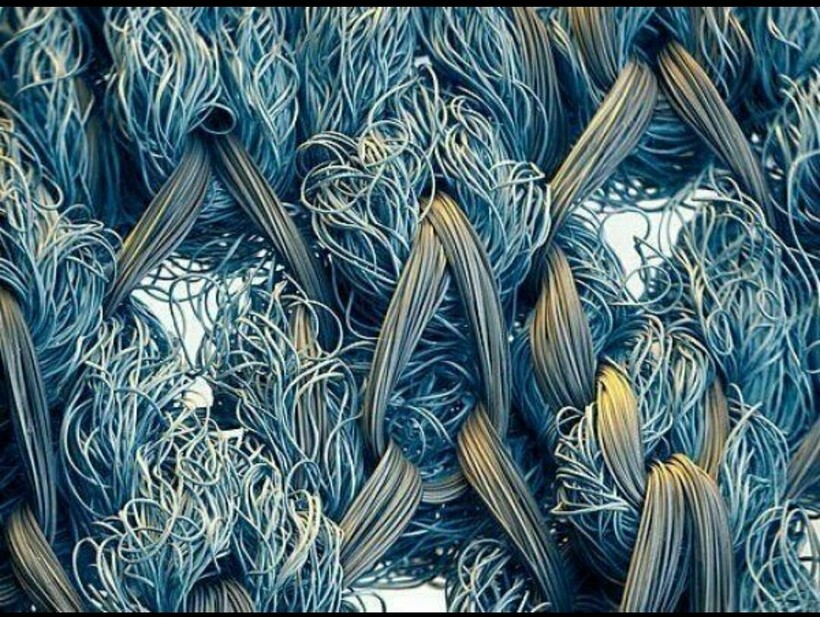 Блог - 17 микрофотографий, которые покажут с новой стороны мир, что кроется у нас под носом 17 микрофотографий, которые покажут с новой стороны мир, что кроется у нас под носом