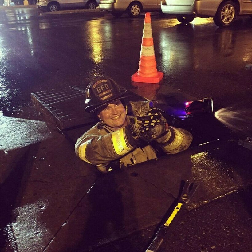 Блог - 17 фото пожарных и спасенных ими животных, ради которых люди рискнули жизнью 17 фото пожарных и спасенных ими животных, ради которых люди рискнули жизнью