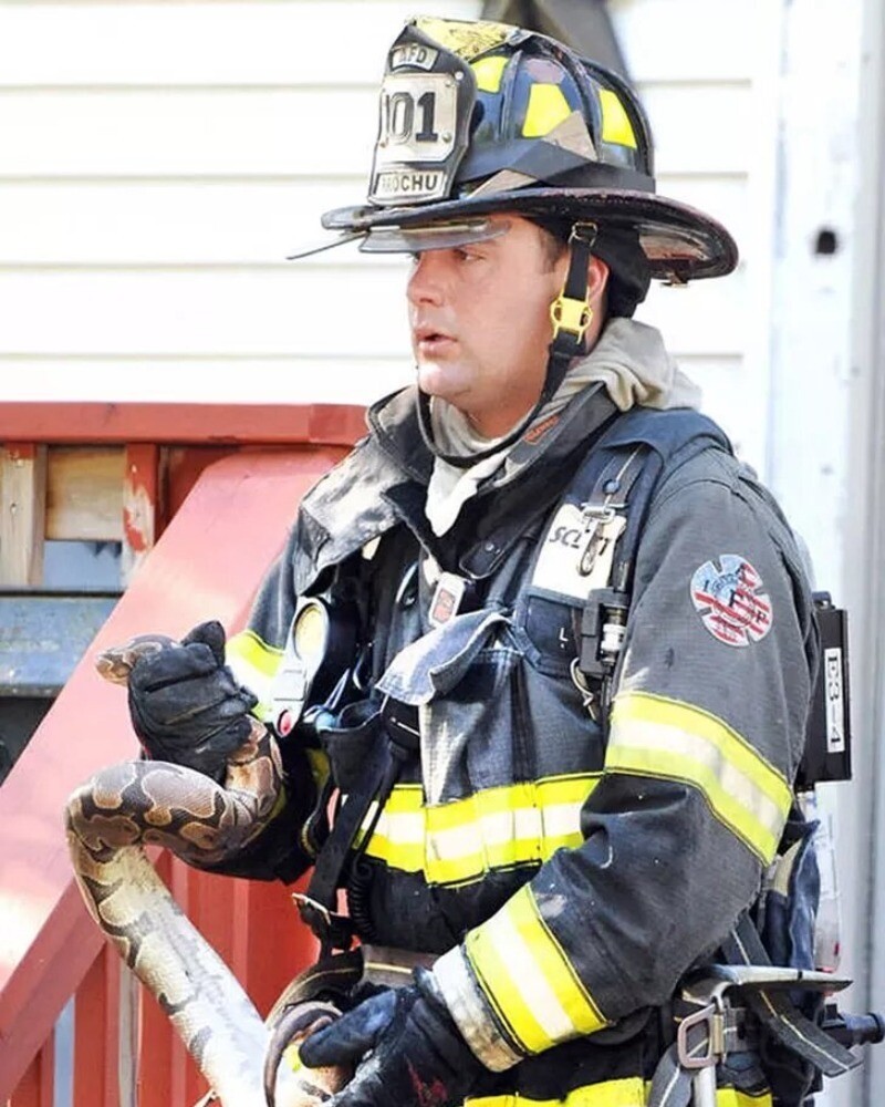 Блог - 17 фото пожарных и спасенных ими животных, ради которых люди рискнули жизнью 17 фото пожарных и спасенных ими животных, ради которых люди рискнули жизнью