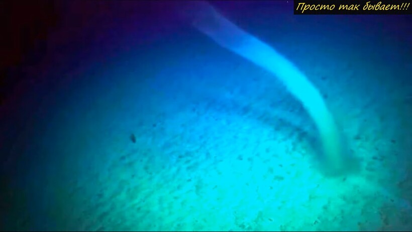 Блог - Видео: Ученые впервые засняли очень редкое явление на дне океана Видео: Ученые впервые засняли очень редкое явление на дне океана