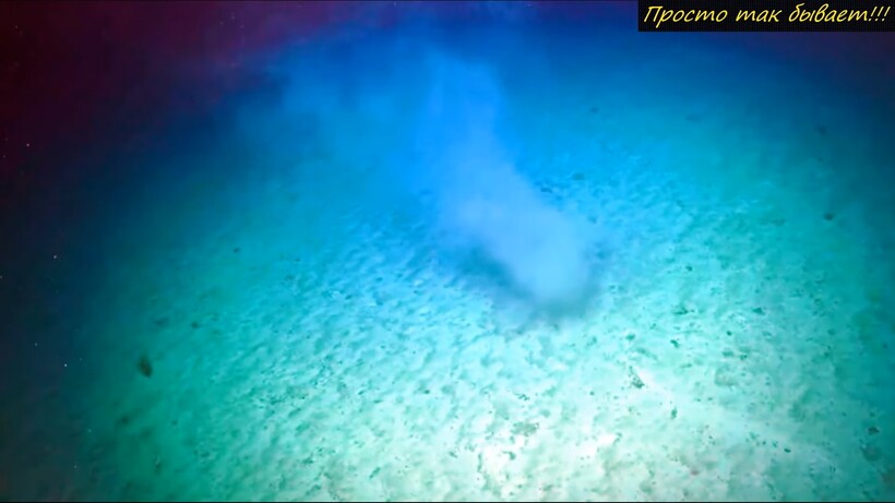 Блог - Видео: Ученые впервые засняли очень редкое явление на дне океана Видео: Ученые впервые засняли очень редкое явление на дне океана