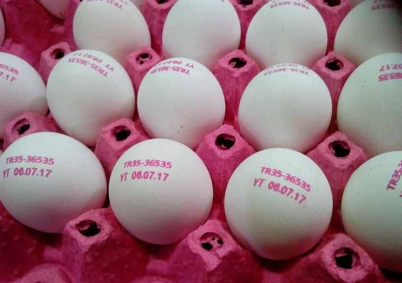 Маркировка сообщает всю информацию о продукте Маркировка сообщает всю информацию о продукте
