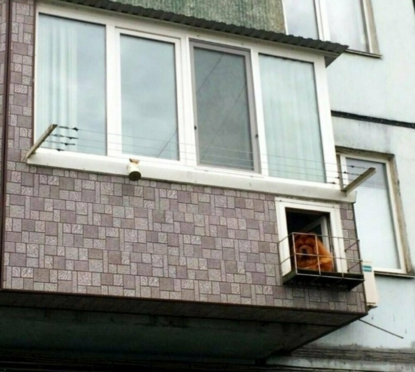 Блог - Шедевры самостроя: 16 уж очень странных балконов с изюминкой Шедевры самостроя: 16 уж очень странных балконов с изюминкой