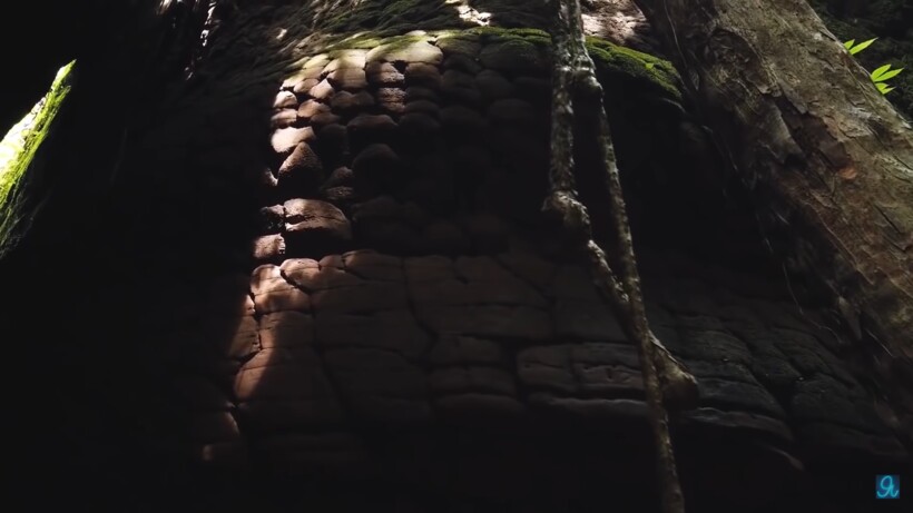 Блог - Видео: В лесу нашли камень, похожий на настоящую гигантскую змею Видео: В лесу нашли камень, похожий на настоящую гигантскую змею