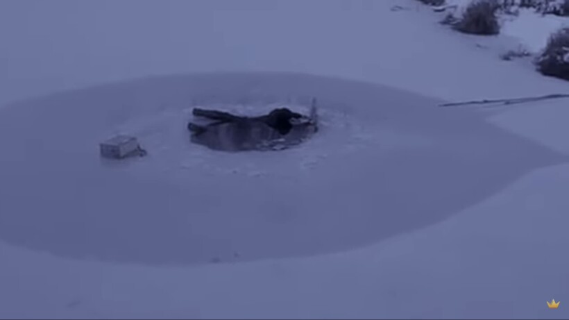 Блог - Видео: Собака спасла своего провалившегося под лед хозяина  Видео: Собака спасла своего провалившегося под лед хозяина