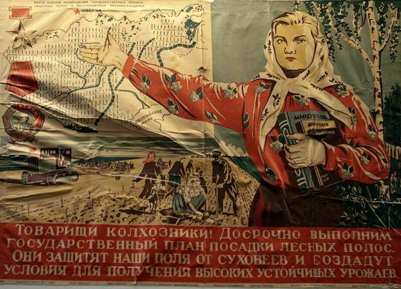 Плакат о лесопосадках сталинских времен Плакат о лесопосадках сталинских времен