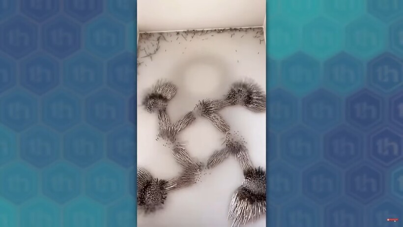 Блог - Видео: Необычайно залипательные вещи, на которые очень сложно перестать смотреть Видео: Необычайно залипательные вещи, на которые очень сложно перестать смотреть