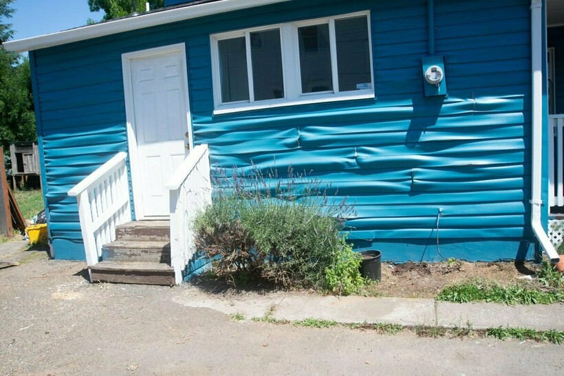 15 фото, доказывающих, насколько безумна жара в Канаде и Штатах