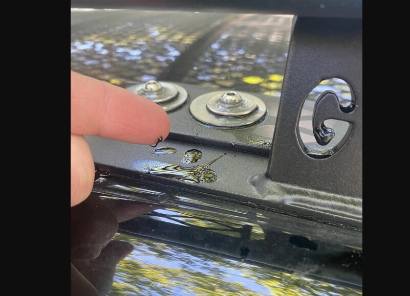 15 фото, доказывающих, насколько безумна жара в Канаде и Штатах