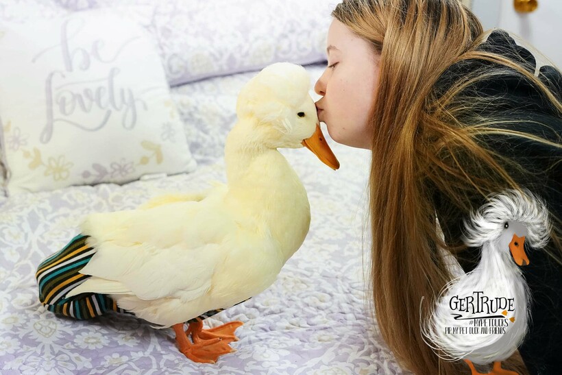 Фото со страницы Pip, my pet duck and friends Фото со страницы Pip, my pet duck and friends