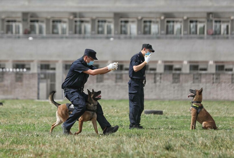 Во время тренировок Во время тренировок