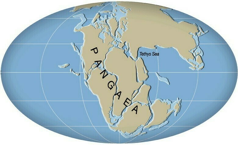 Перед распадом Пангеи могло произойти событие, которое стало причиной затопления некоторых территорий Перед распадом Пангеи могло произойти событие, которое стало причиной затопления некоторых территорий