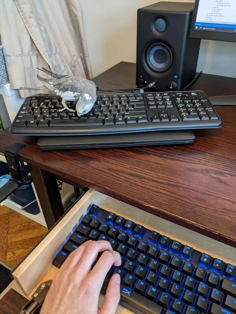 Блог - 11 хитростей от настоящих гениев, которые как будто сумели перехитрить саму жизнь 11 хитростей от настоящих гениев, которые как будто сумели перехитрить саму жизнь