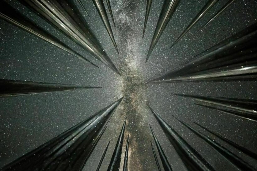 Блог - Закат на Марсе и 14 других снимков, претендующих стать лучшими астрономическими фото Закат на Марсе и 14 других снимков, претендующих стать лучшими астрономическими фото