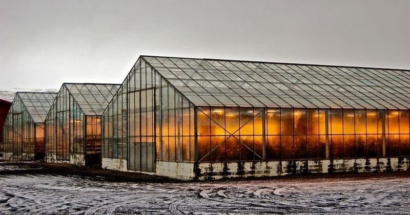 Местные теплицы, которые используют геотермальную энергию