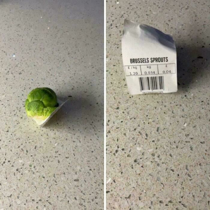 Блог - 10 случаев, когда люди воспринимали просьбу буквально  10 случаев, когда люди воспринимали просьбу буквально