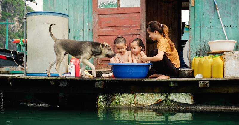 Фото: Дима Гилитука/boredpanda.com Фото: Дима Гилитука/boredpanda.com