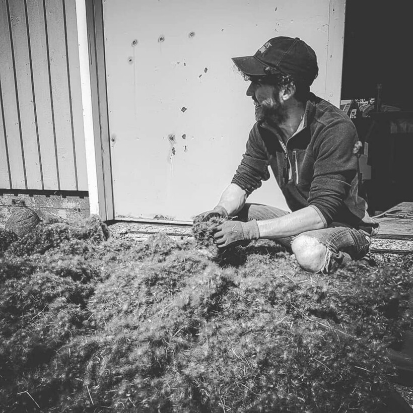 Обработка пуха. Фото: Vigur Island/facebook.com  Обработка пуха. Фото: Vigur Island/facebook.com