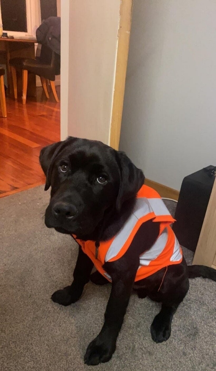 Блог - 10 хитрых придумок от людей, которые щелкают жизненные проблемы как орешки 10 хитрых придумок от людей, которые щелкают жизненные проблемы как орешки