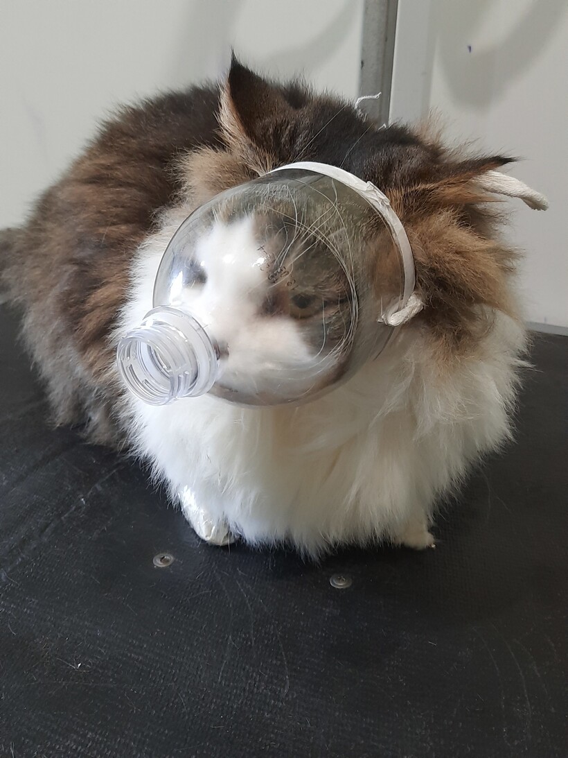 Блог - 10 хитрых придумок от людей, которые щелкают жизненные проблемы как орешки 10 хитрых придумок от людей, которые щелкают жизненные проблемы как орешки