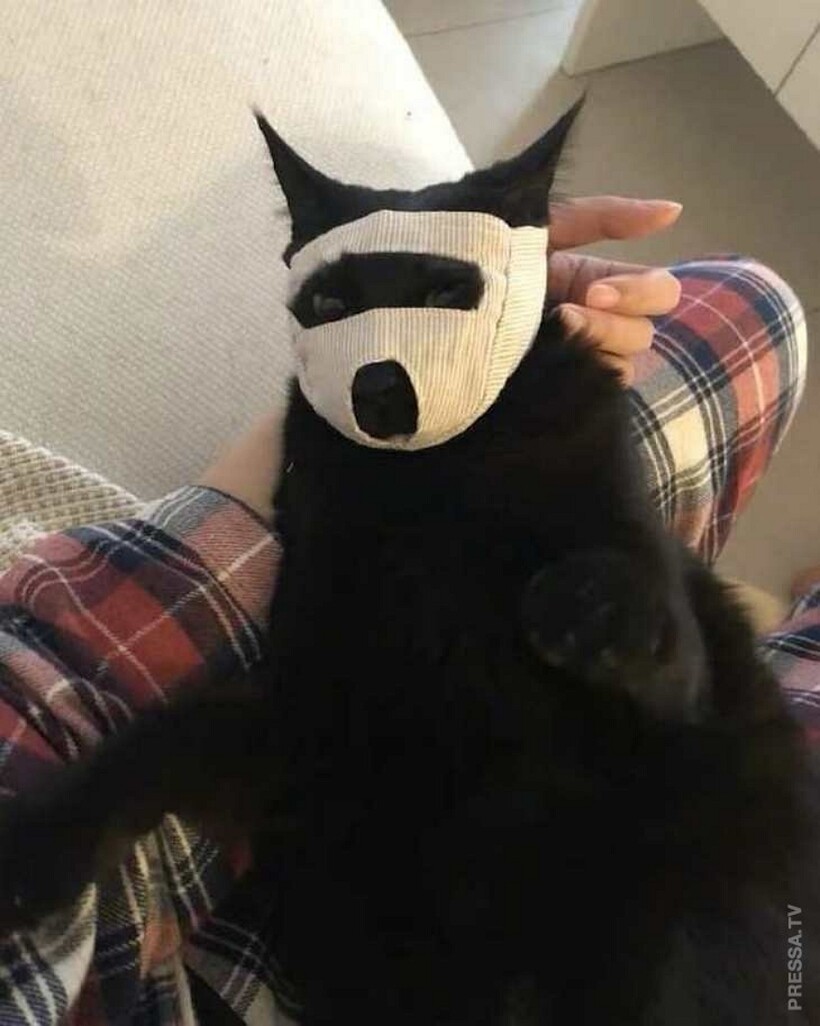 Блог - 10 хитрых придумок от людей, которые щелкают жизненные проблемы как орешки 10 хитрых придумок от людей, которые щелкают жизненные проблемы как орешки