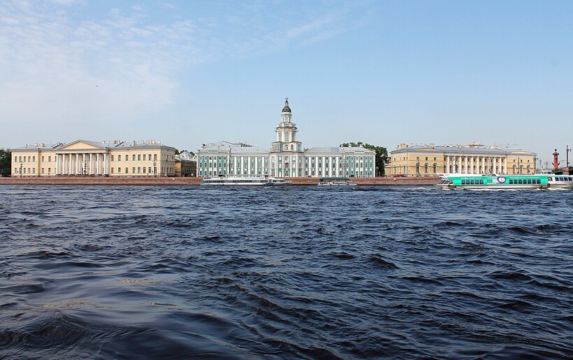 Фото: Ирина Кудрявцева/pixabay.com Фото: Ирина Кудрявцева/pixabay.com