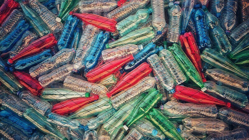 Фото: Vincent WR/flickr.com Фото: Vincent WR/flickr.com