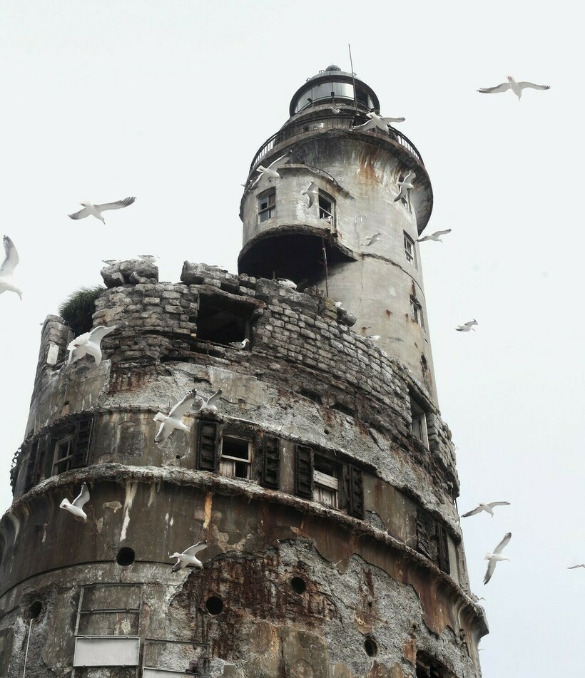 Фото: Diana Vorobeva-Attyakova/www.Pexels.com Фото: Diana Vorobeva-Attyakova/www.Pexels.com