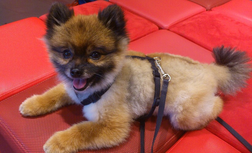 Фото: Heike Georg/pixabay.com Фото: Heike Georg/pixabay.com