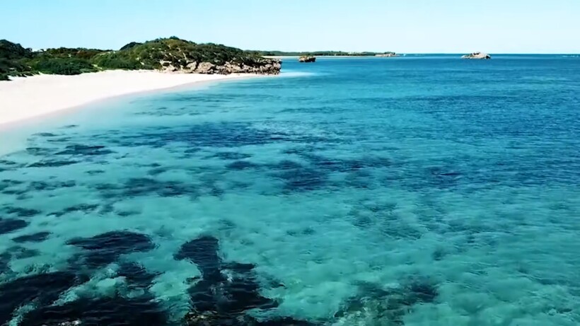 Блог - Видео: Кто проживает на дне Индийского океана Видео: Кто проживает на дне Индийского океана