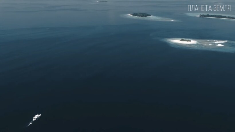 Блог - Видео: Кто проживает на дне Индийского океана Видео: Кто проживает на дне Индийского океана