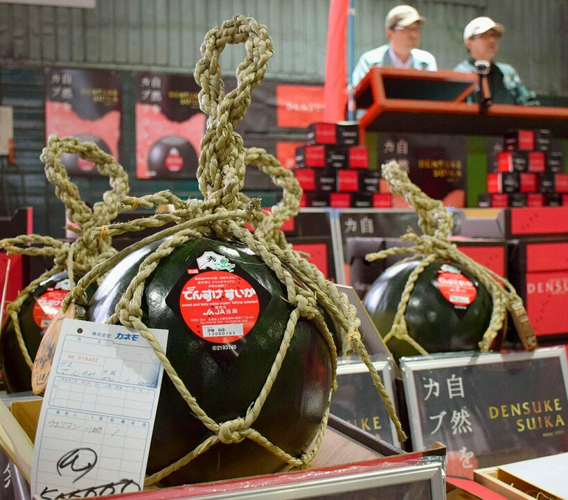 Блог - Видео: Почему черные японские арбузы сорта «дэнсукэ» стоят в 4500 раз дороже зеленых Видео: Почему черные японские арбузы сорта «дэнсукэ» стоят в 4500 раз дороже зеленых