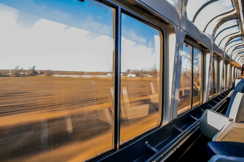 Фото: Essow/pexels.com Фото: Essow/pexels.com