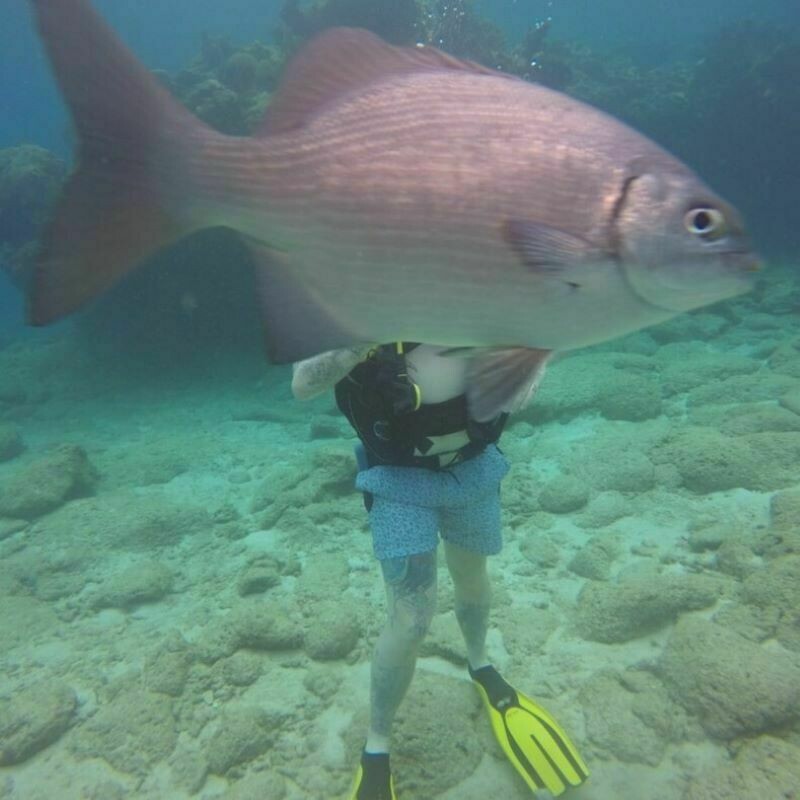 Блог - 12 фотопровалов из отпуска, от которых хочется смеяться и плакать одновременно  12 фотопровалов из отпуска, от которых хочется смеяться и плакать одновременно