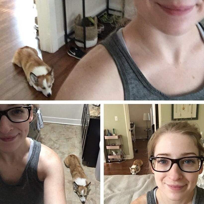 Блог - 13 фотографий животных, которые в своей лени достигли наивысшего уровня 13 фотографий животных, которые в своей лени достигли наивысшего уровня