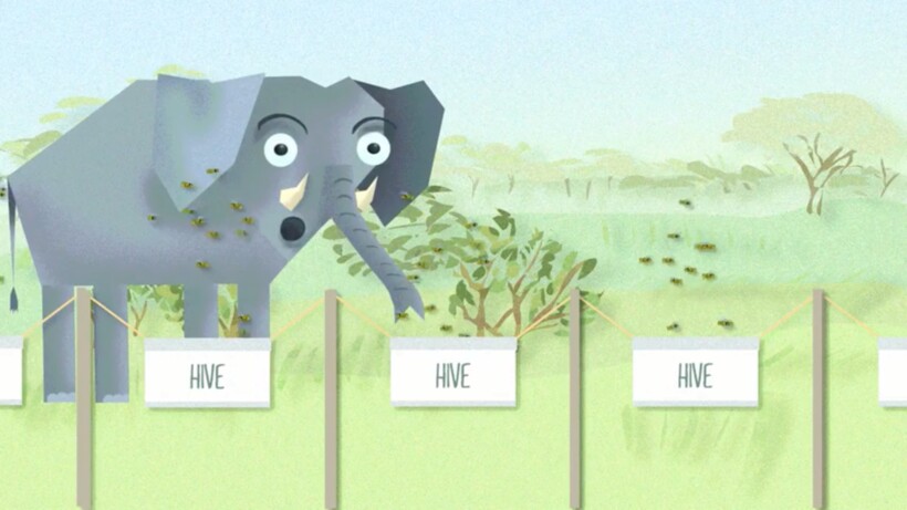 Фото: wildlabs.net Фото: wildlabs.net