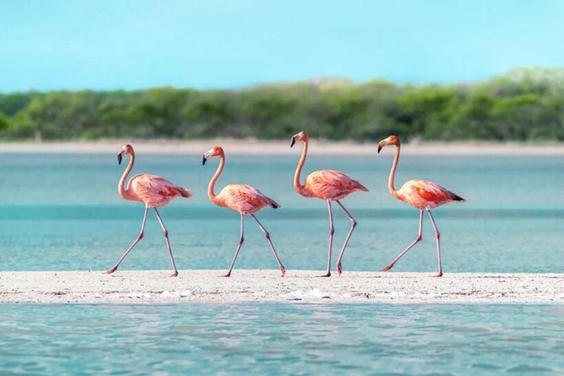 Блог - 12 фотографий, которые собираются победить на мировом фотоконкурсе в 2022 году 12 фотографий, которые собираются победить на мировом фотоконкурсе в 2022 году