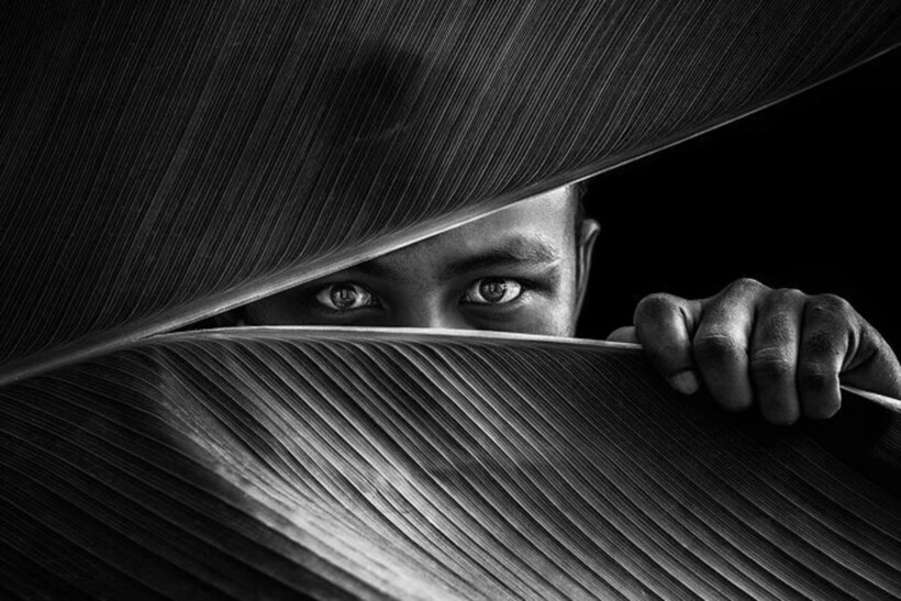 Блог - 12 фотографий, которые собираются победить на мировом фотоконкурсе в 2022 году 12 фотографий, которые собираются победить на мировом фотоконкурсе в 2022 году