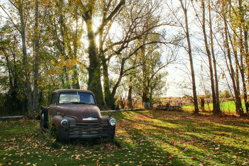 Фото: Andrew Foster/Pexels.com Фото: Andrew Foster/Pexels.com