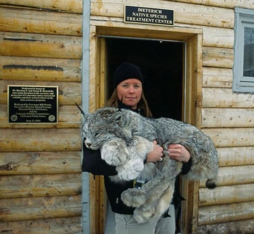 Блог - 15 фото, которые покажут феноменальные размеры вещей и животных в сравнении с людьми 15 фото, которые покажут феноменальные размеры вещей и животных в сравнении с людьми