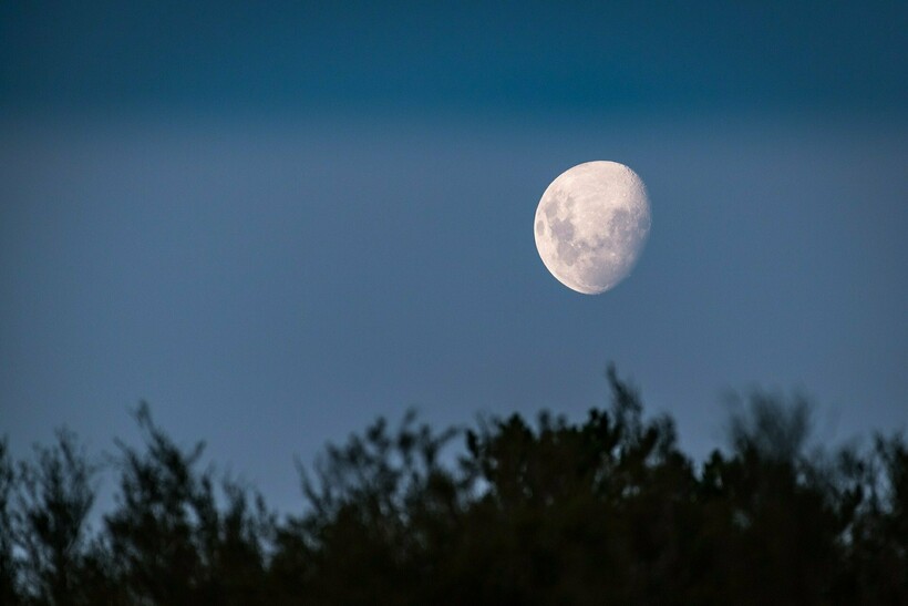 Фото: pen_ash/pixabay.com Фото: pen_ash/pixabay.com