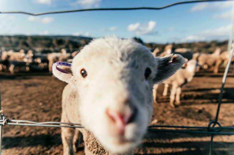 Фото: Rachel Claire/ Pexels.com Фото: Rachel Claire/ Pexels.com