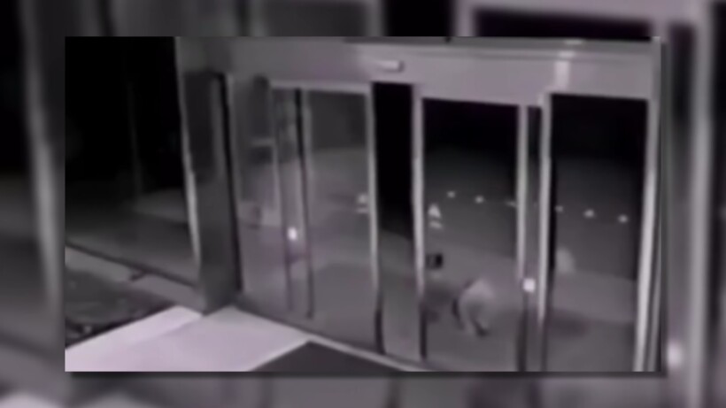 Блог - Видео: Самые странные и необычные существа, которых сняли на камеру в Египте Видео: Самые странные и необычные существа, которых сняли на камеру в Египте